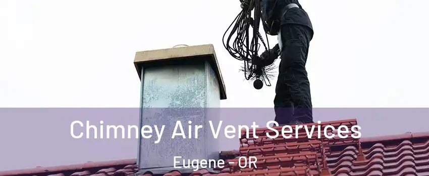  Chimney Air Vent Services Eugene - OR