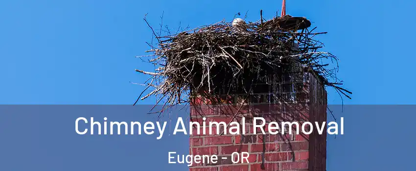  Chimney Animal Removal Eugene - OR