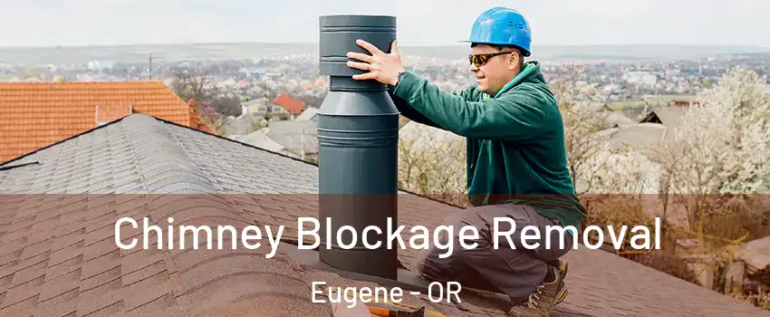  Chimney Blockage Removal Eugene - OR