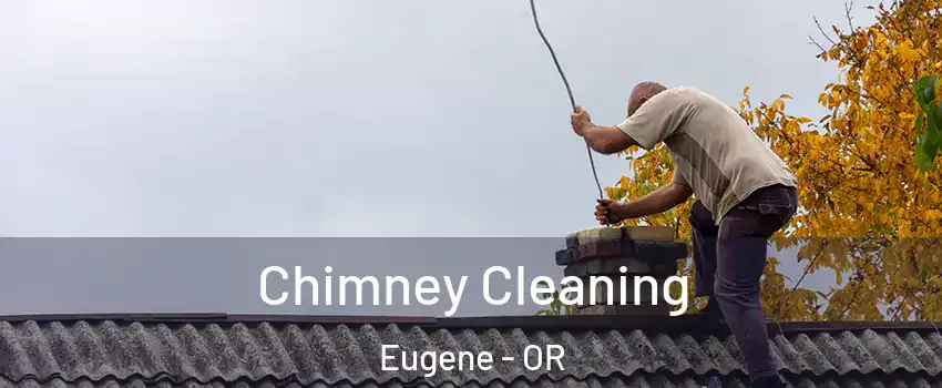  Chimney Cleaning Eugene - OR