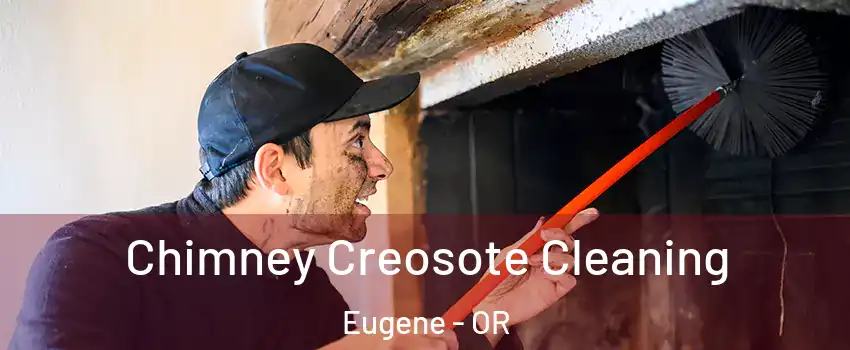  Chimney Creosote Cleaning Eugene - OR