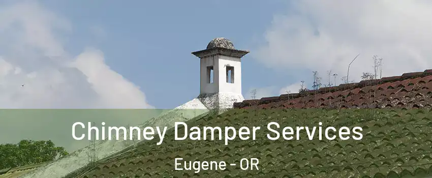  Chimney Damper Services Eugene - OR