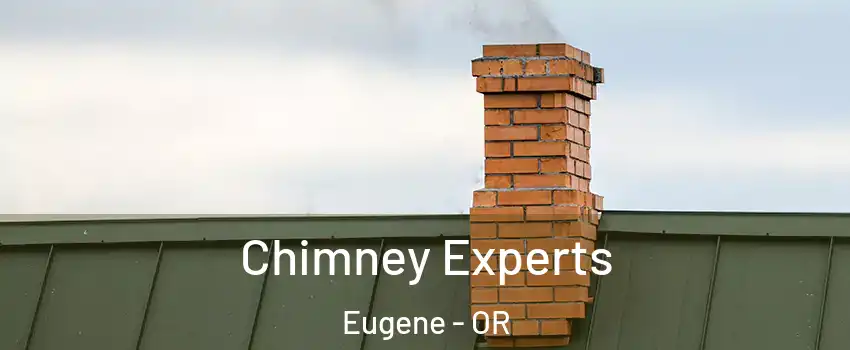  Chimney Experts Eugene - OR
