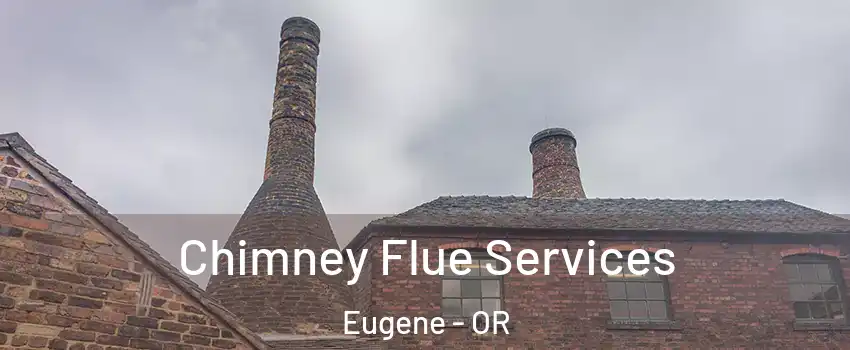  Chimney Flue Services Eugene - OR