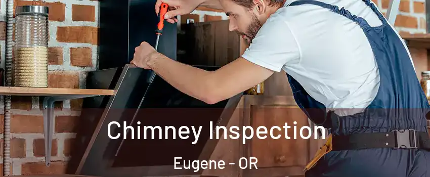  Chimney Inspection Eugene - OR