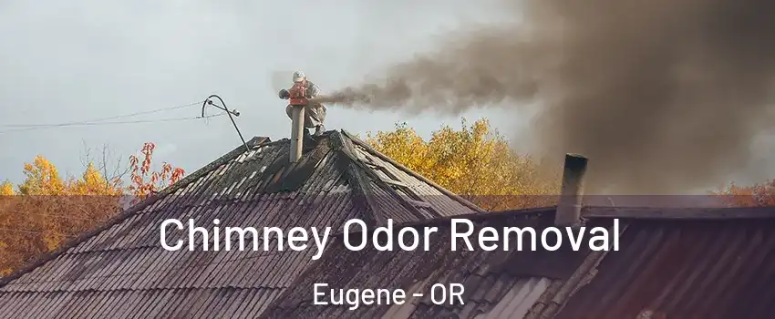  Chimney Odor Removal Eugene - OR