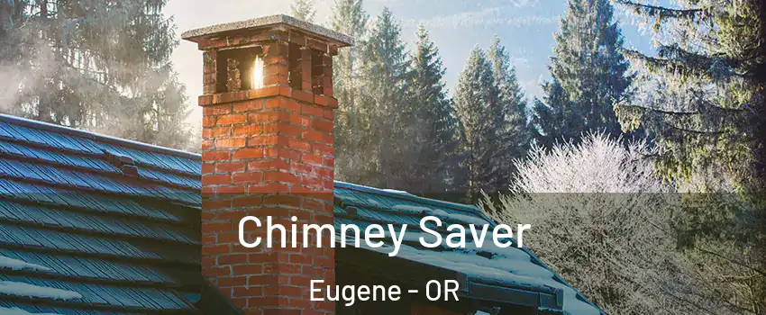  Chimney Saver Eugene - OR