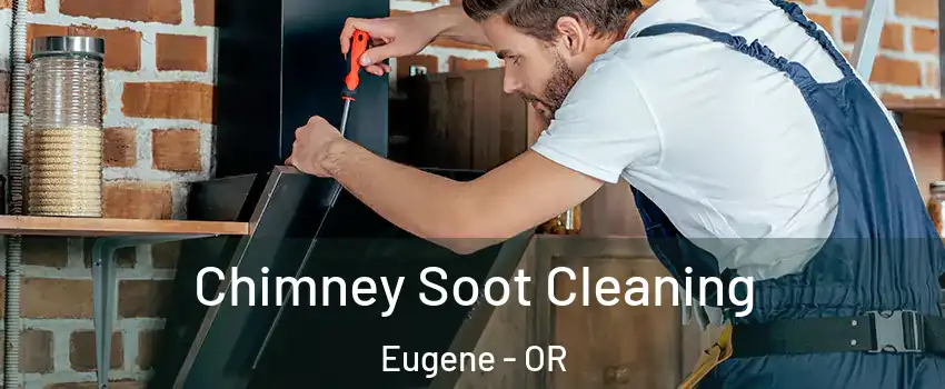  Chimney Soot Cleaning Eugene - OR