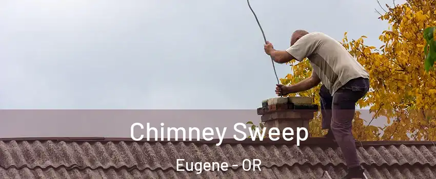  Chimney Sweep Eugene - OR