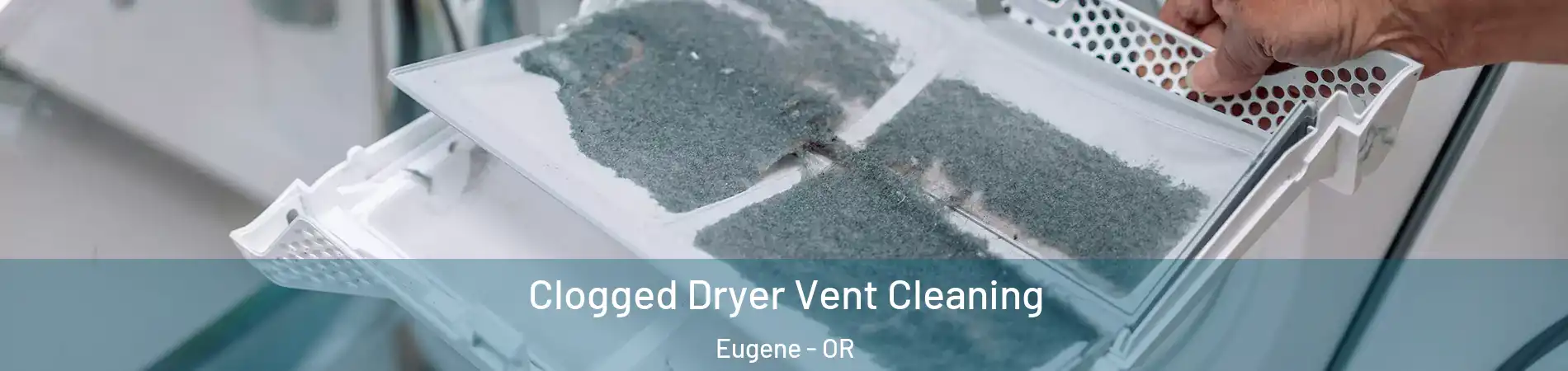  Clogged Dryer Vent Cleaning Eugene - OR