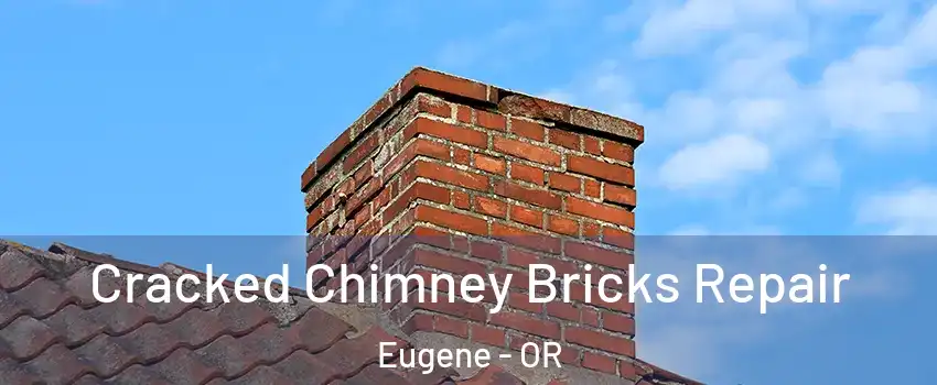  Cracked Chimney Bricks Repair Eugene - OR