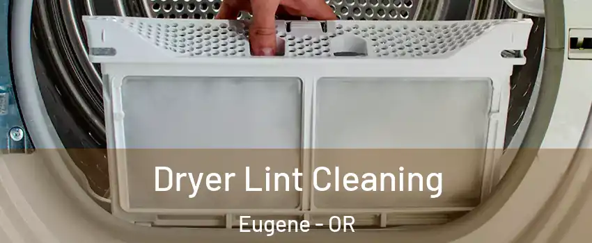  Dryer Lint Cleaning Eugene - OR