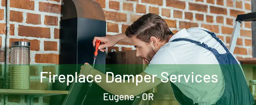 Fireplace Damper Services Eugene - OR