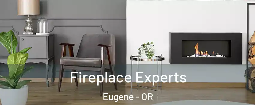  Fireplace Experts Eugene - OR