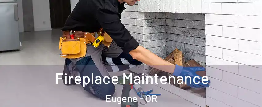  Fireplace Maintenance Eugene - OR