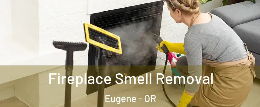  Fireplace Smell Removal Eugene - OR