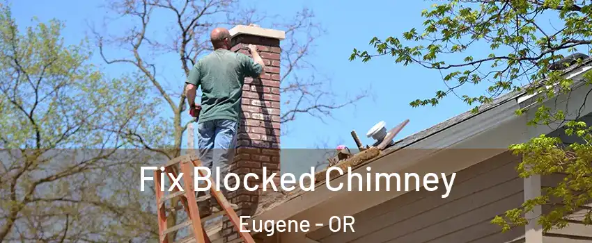  Fix Blocked Chimney Eugene - OR