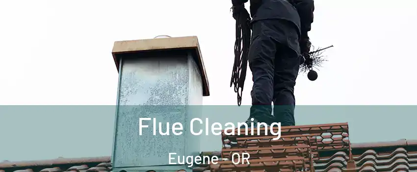  Flue Cleaning Eugene - OR
