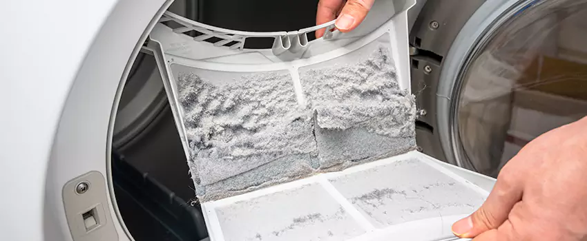 Best Dryer Lint Removal Company in Eugene, Oregon