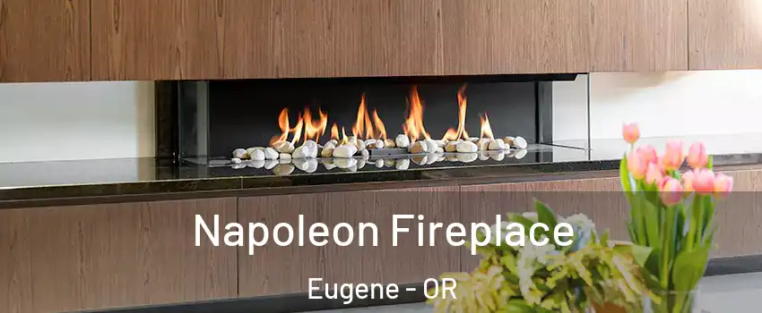  Napoleon Fireplace Eugene - OR