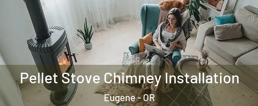  Pellet Stove Chimney Installation Eugene - OR